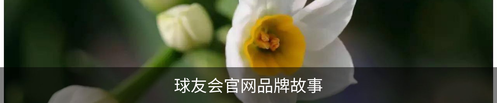 球友会官网品牌故事
